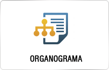 Organograma